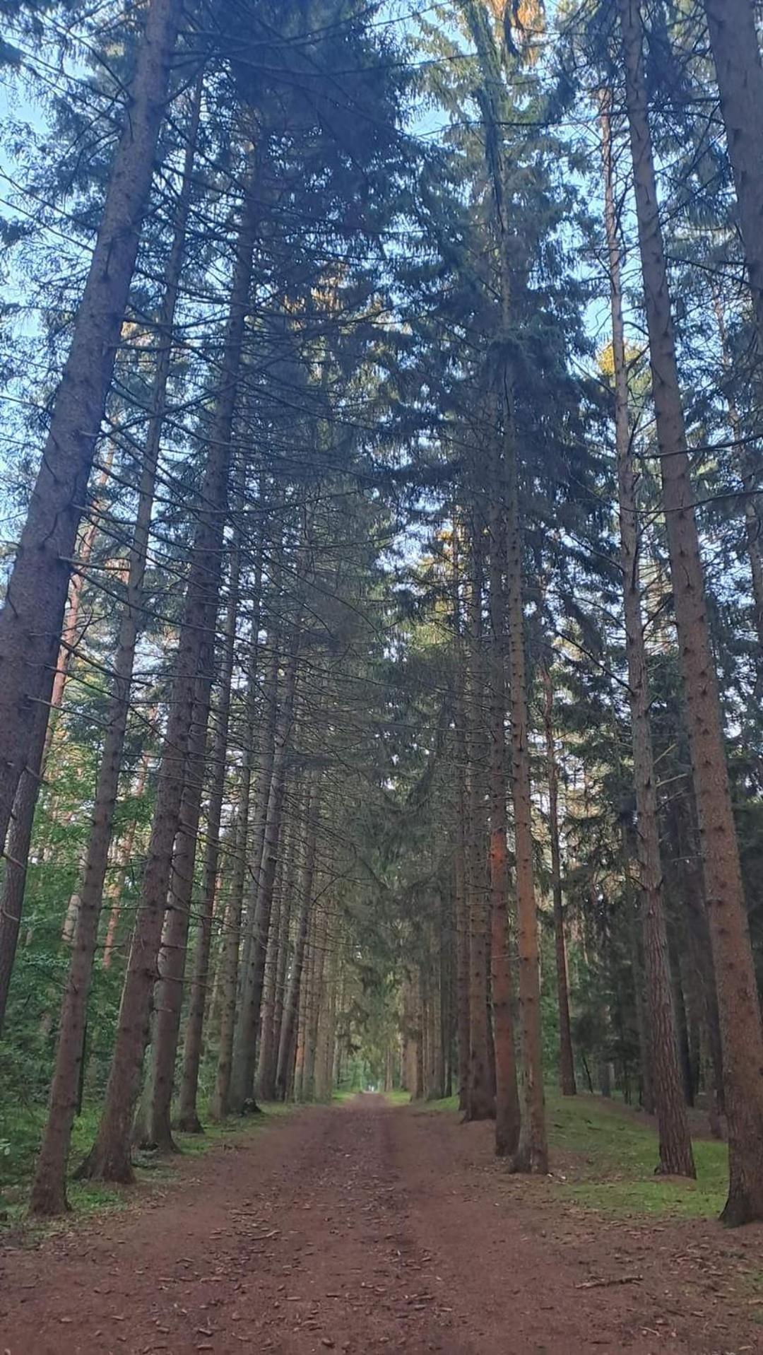 Pobierowo Baltic Apartaments D5 外观 照片